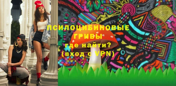 спайс Нея