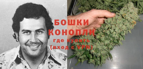 спайс Нея