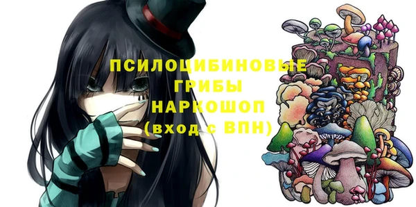 спайс Нея