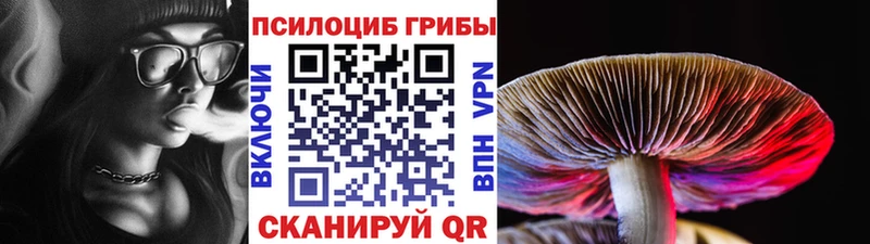 Галлюциногенные грибы прущие грибы  мега ТОР  Сурск 